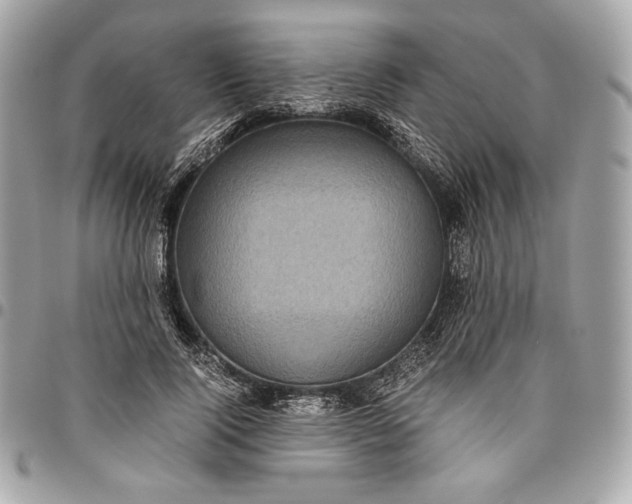 X0000096420740200802071702