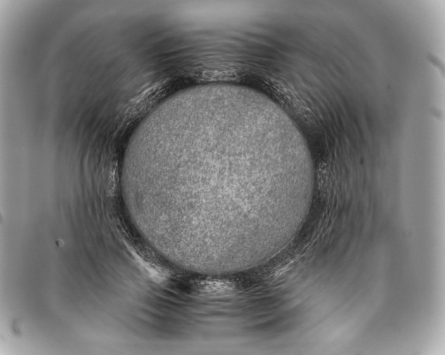 X0000096420741200802071702