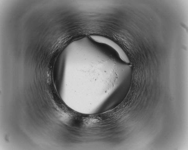 X0000096420743200802071702