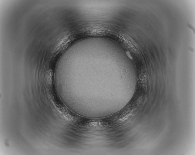 X0000096420744200802071702