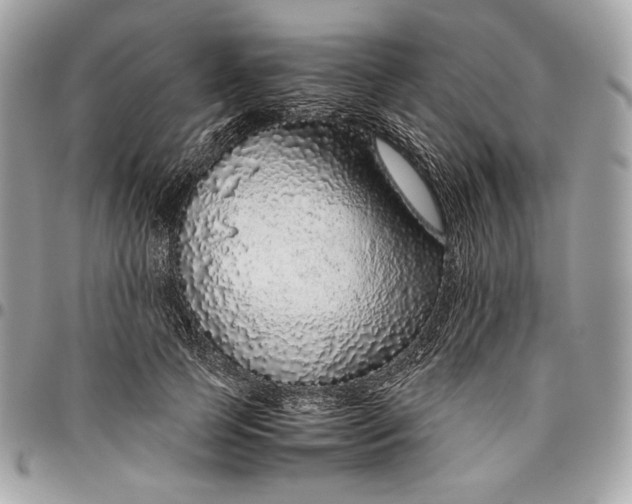 X0000096420745200802071702