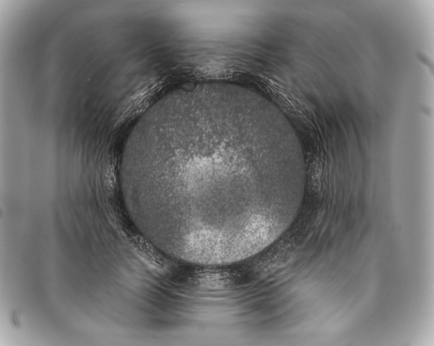 X0000096420746200802071702