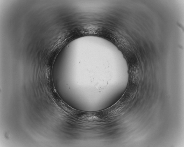 X0000096420747200802071702