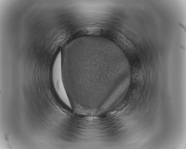 X0000096420748200802071702