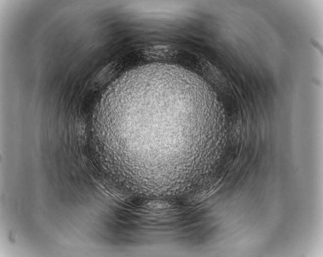 X0000096420749200802071702