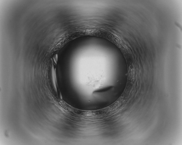 X0000096420750200802071702