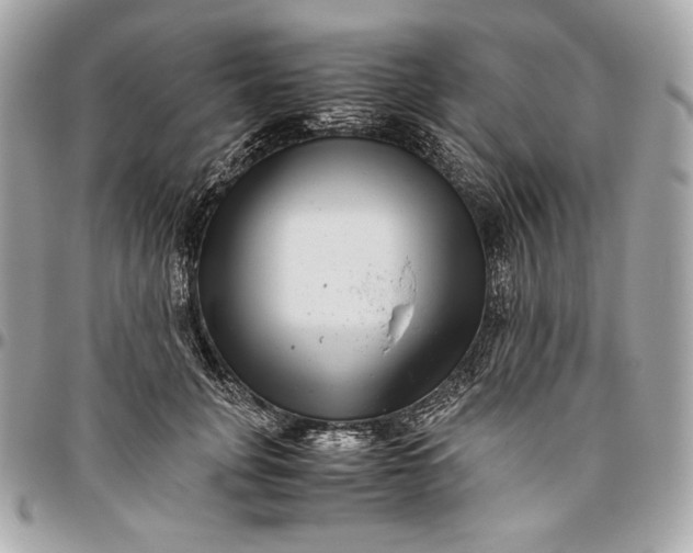 X0000096420751200802071702