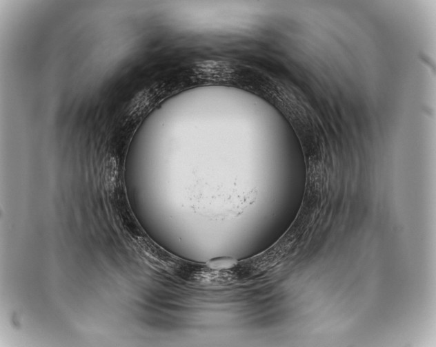 X0000096420752200802071702