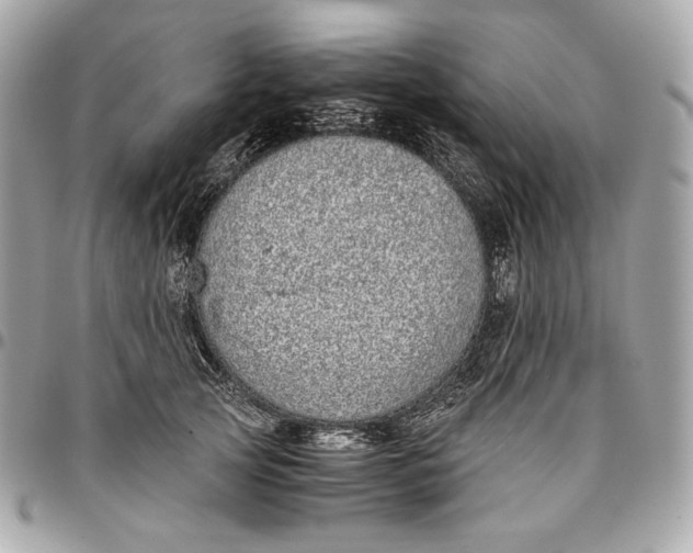 X0000096420753200802071702