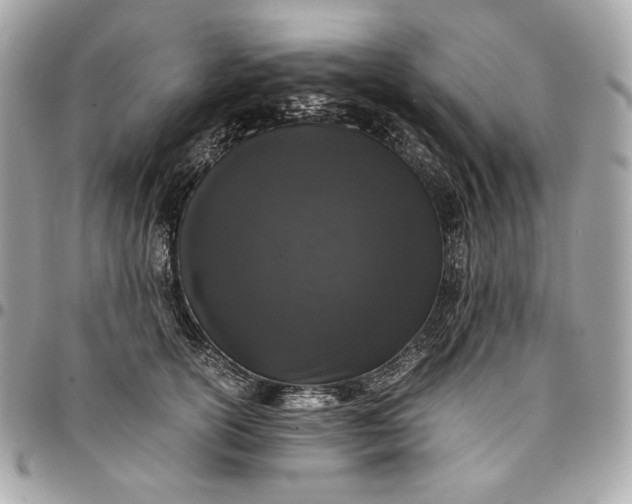 X0000096420754200802071702