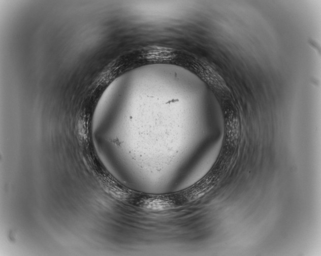 X0000096420755200802071702