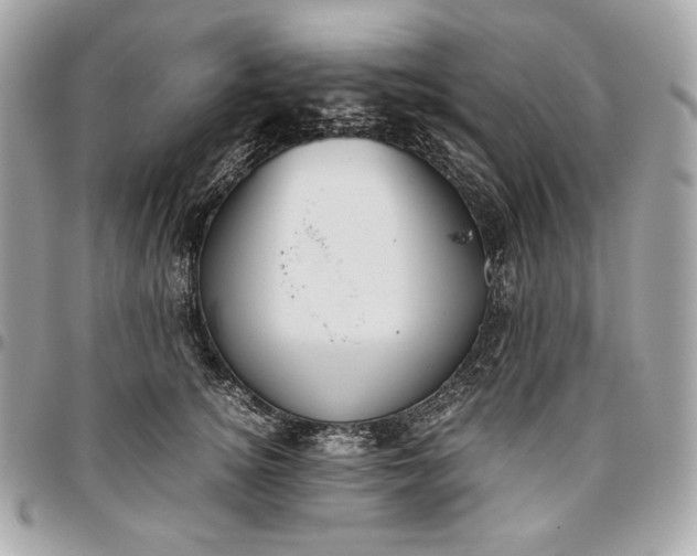 X0000096420756200802071702