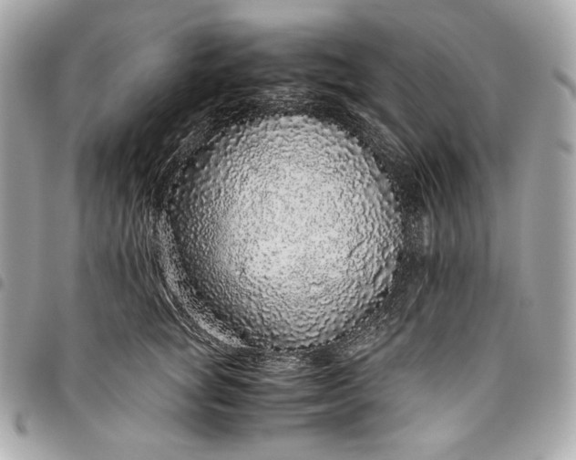 X0000096420757200802071702