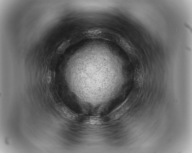 X0000096420758200802071702