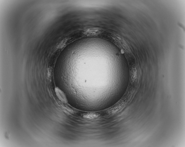 X0000096420759200802071702