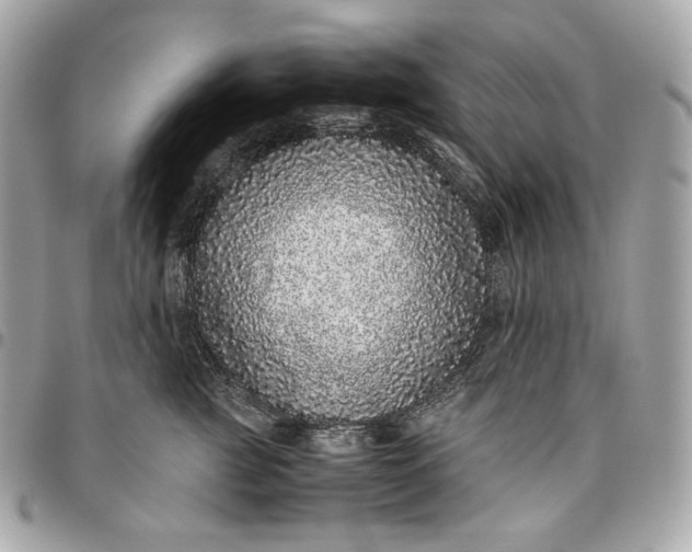 X0000096420761200802071702