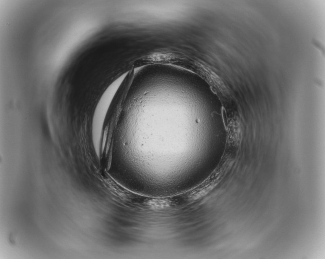 X0000096420762200802071702