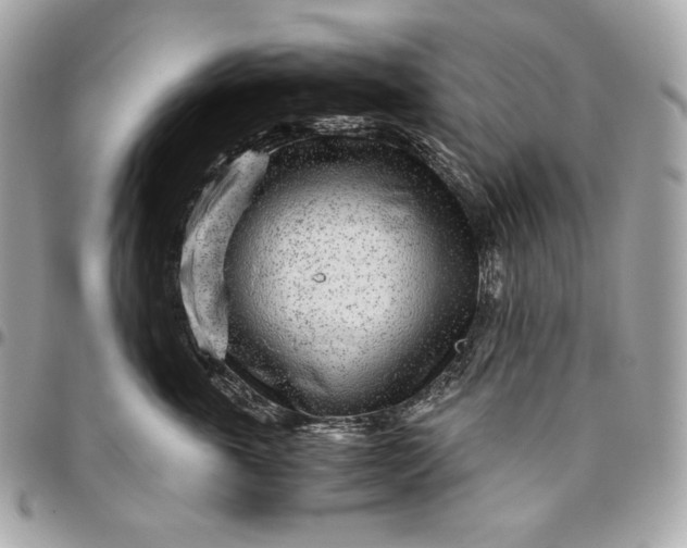 X0000096420763200802071703