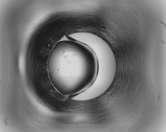 X0000096420764200802071703