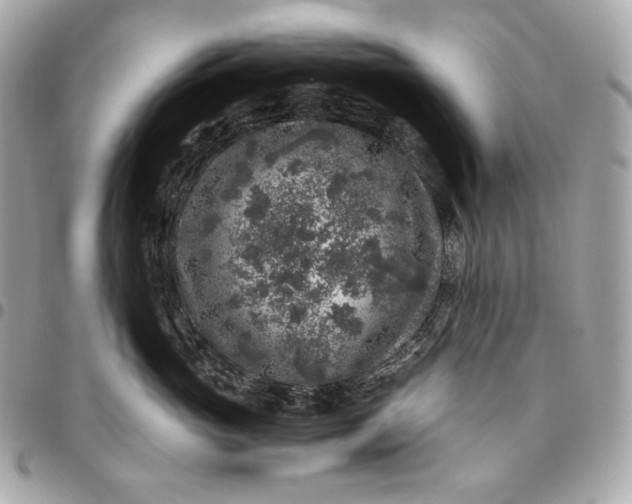 X0000096420765200802071703