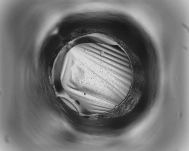 X0000096420766200802071703