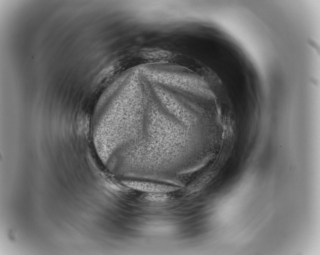 X0000096420767200802071703