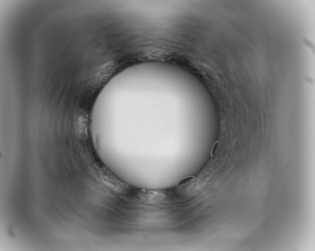 X0000096420768200802071703