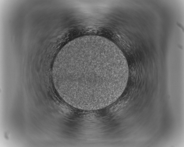 X0000096420769200802071702