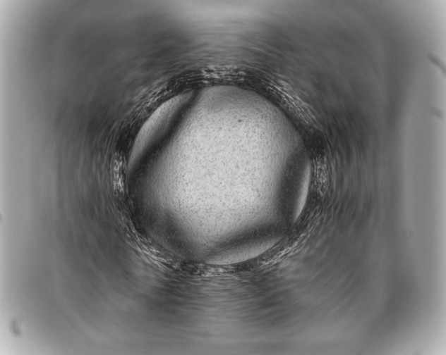 X0000096420770200802071702