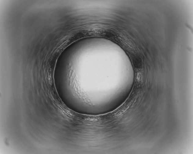 X0000096420771200802071702