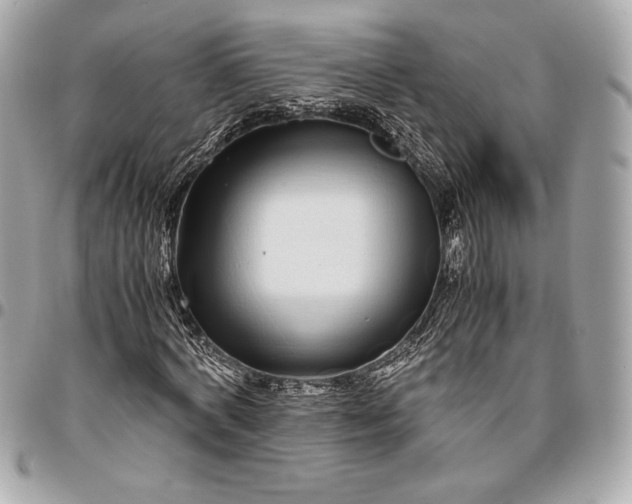 X0000096420772200802071702