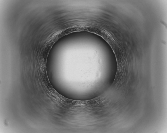 X0000096420773200802071702