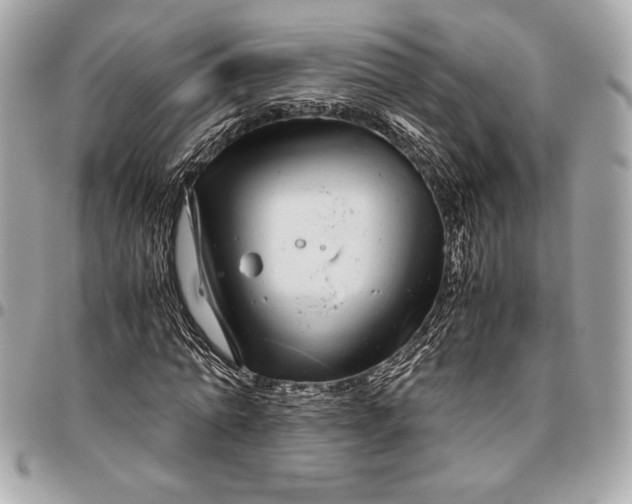 X0000096420774200802071702