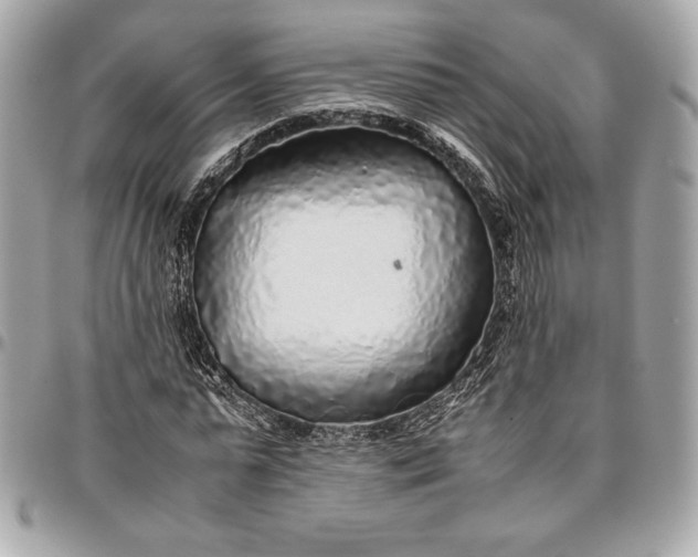 X0000096420775200802071702