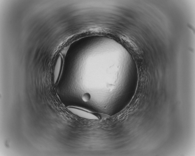 X0000096420776200802071702