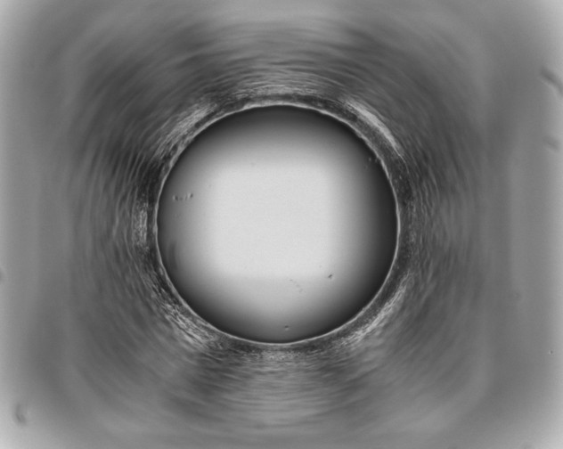 X0000096420777200802071702