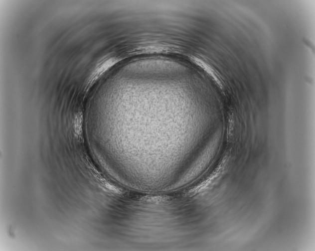 X0000096420778200802071702