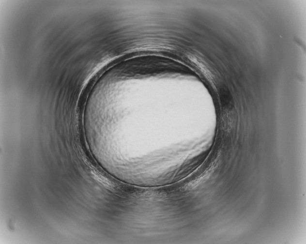 X0000096420779200802071702