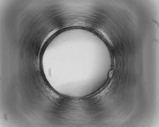 X0000096420780200802071702