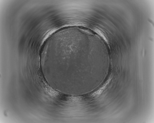 X0000096420781200802071702