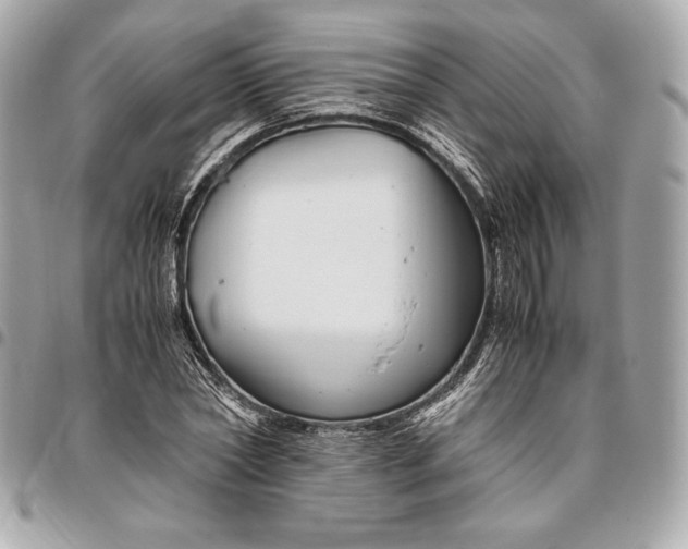 X0000096420782200802071702