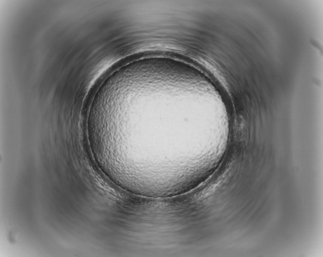 X0000096420783200802071702