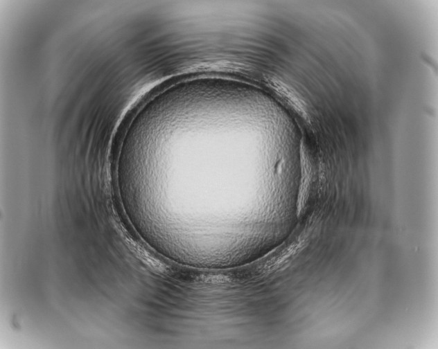 X0000096420784200802071702