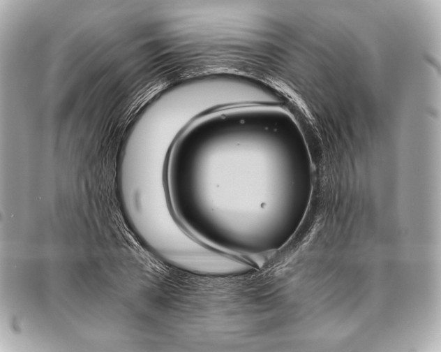 X0000096420785200802071702