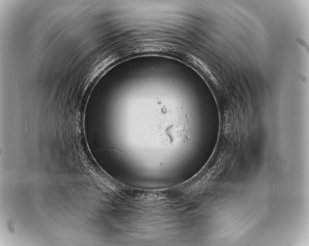 X0000096420786200802071702