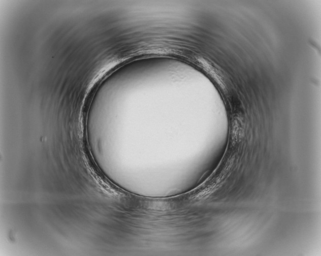 X0000096420787200802071701