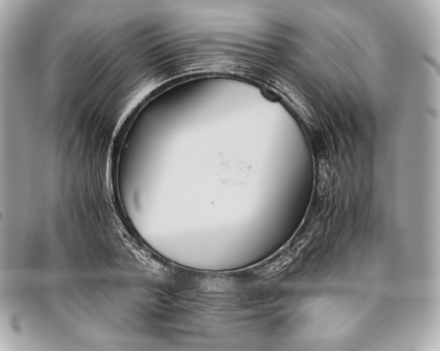 X0000096420788200802071701