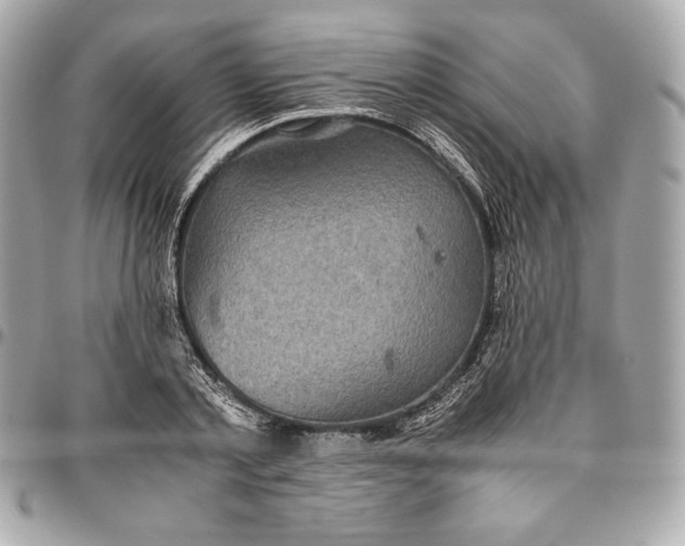 X0000096420789200802071701