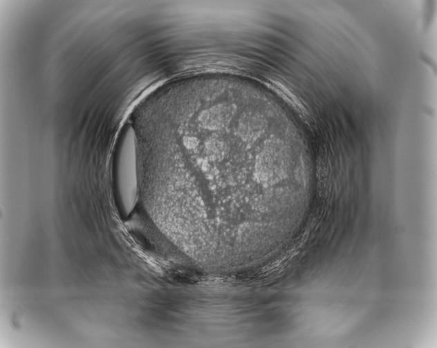 X0000096420790200802071701