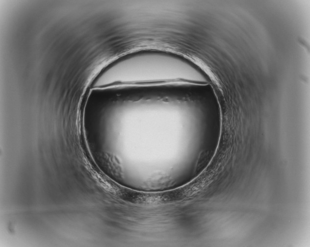 X0000096420791200802071701